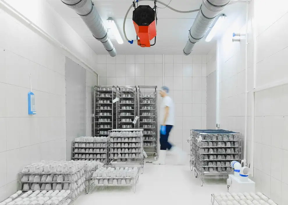 storageItems.item4.title